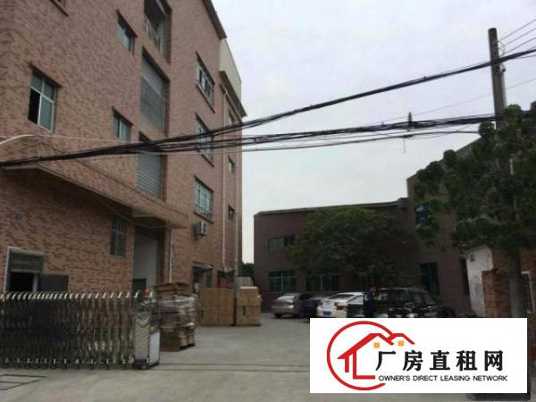  塘厦清湖头600平米6米高一楼标准厂房，临平山/振兴围/石鼓