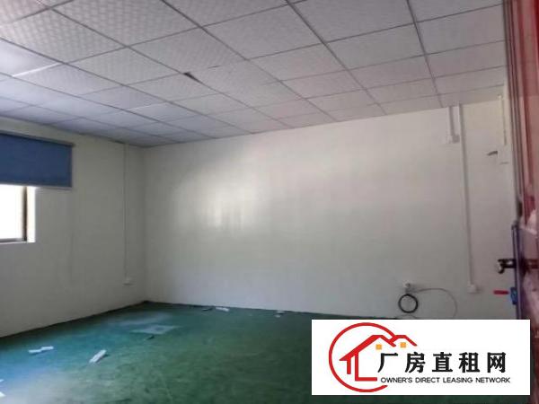  田心科苑城厂房800平