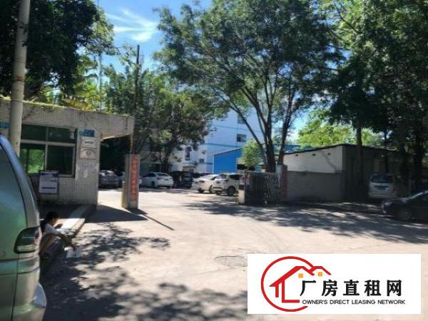  田心科苑城厂房800平