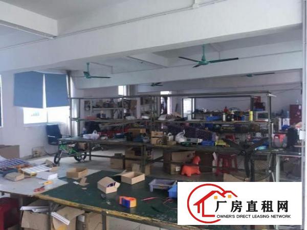  大坪高速附近独院厂房7000平方米 带办公区 拎包驻好出行