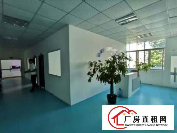  优势：龙背岭独栋红本带装修1200平方标准厂房。田心/科苑城
