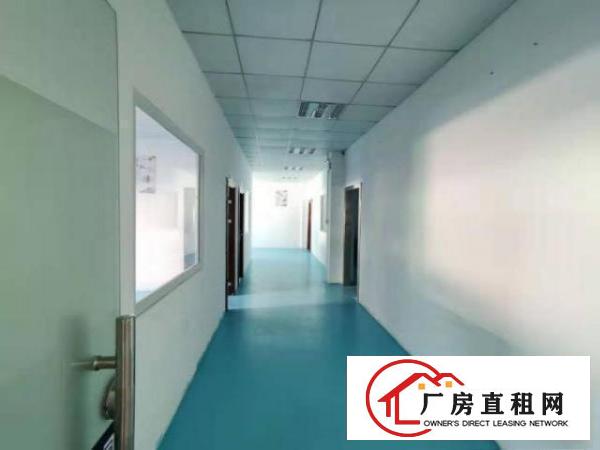  优势：龙背岭独栋红本带装修1200平方标准厂房。田心/科苑城