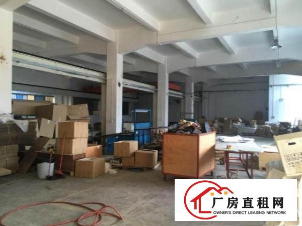  龙背岭700平方米有行车一楼标准厂房，临田心/莆心湖/科苑城