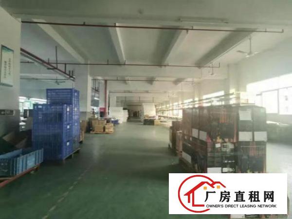  石鼓靠深圳400平米标准楼上厂房租（电子贸易配件）