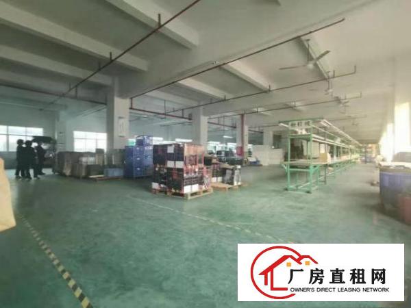  石鼓靠深圳400平米标准楼上厂房租（电子贸易配件）