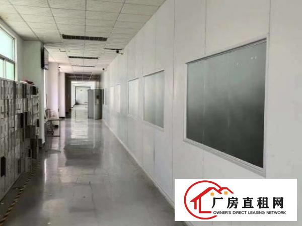  塘厦镇高速附近独院现成无尘车间
