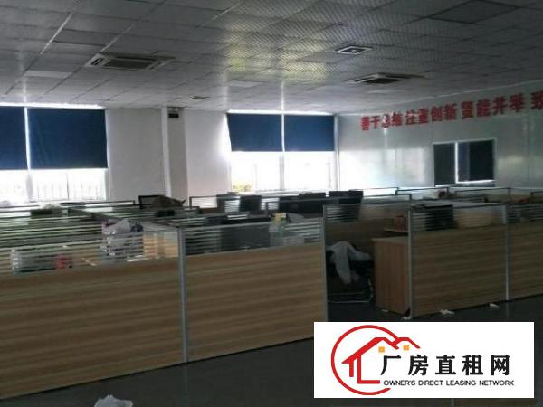  大坪新出2500平方，无尘车间