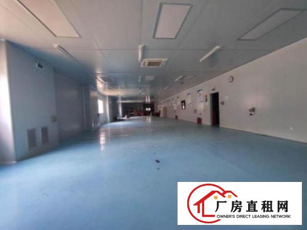  大坪新出2500平方，无尘车间