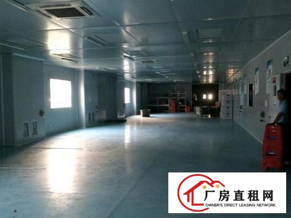  大坪新出2500平方，无尘车间
