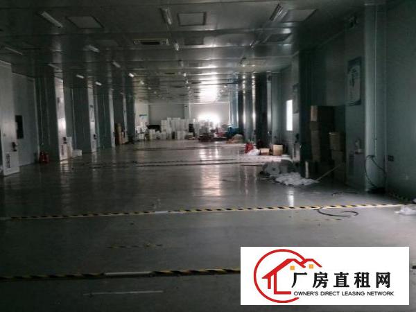 大坪新出2500平方，无尘车间