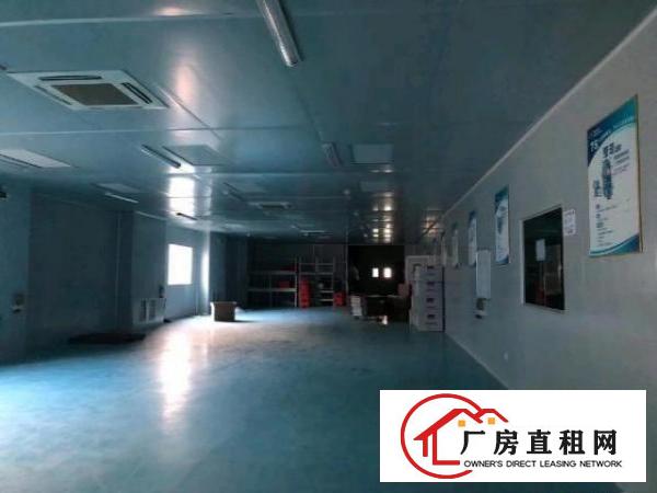  大坪高速出口500米位置，单一层标准2500平方出租