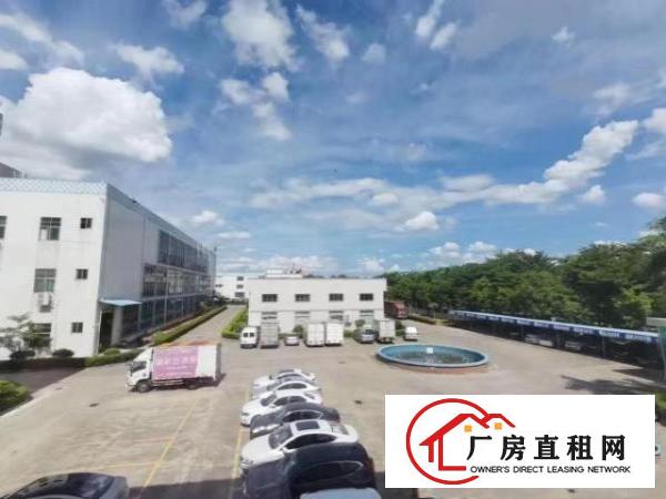  科苑城，单一尾10米高