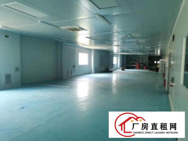  科苑城，单一尾10米高