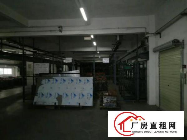  塘厦石潭埔原房东厂房出租独栋6630平方可分租