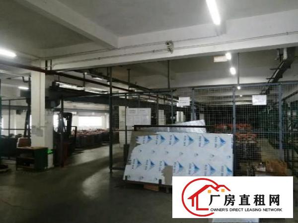  塘厦石潭埔原房东厂房出租独栋6630平方可分租