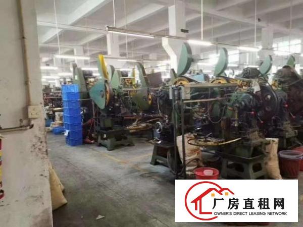  独门独院形象好，高度6米