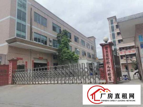  独门独院形象好，高度6米