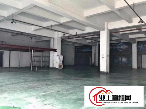  ~合同期长，沙湖临深区1000平米标准一楼厂房，重工业~