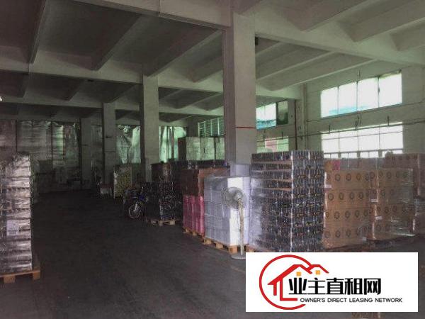  塘厦桥陇 靠深圳和凤岗 标准一楼厂房 2000平方米 可分租