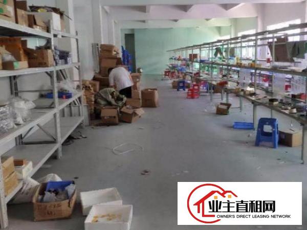  免装修！这里有！塘厦大坪高速旁650平方独院4楼厂房