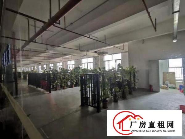  ~豪华装修~塘厦大坪高薪产业园2000平米楼上厂房出租