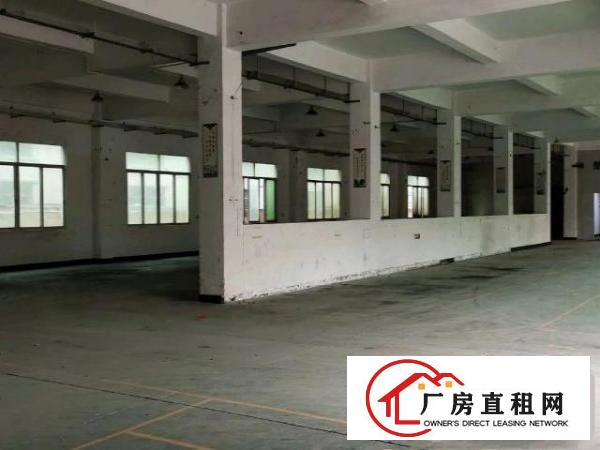  原房东直租，小独院实际面积，独立办公楼带装修，价格优