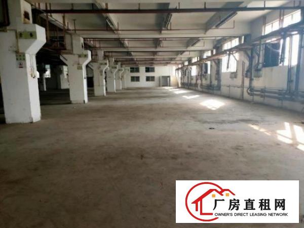  塘厦原房东厂房可分租