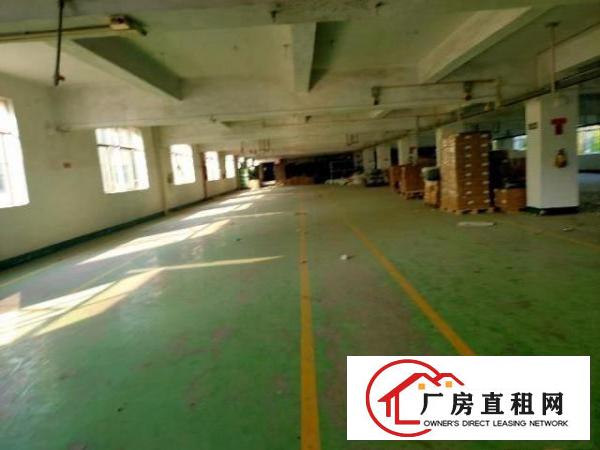  塘厦原房东厂房可分租