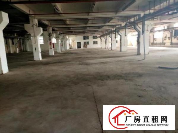  塘厦原房东厂房可分租