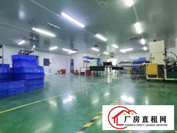 临深临深！靓丽装修！3楼标准厂房1500平方米！豪华装修！