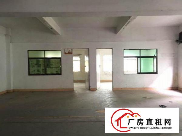  【~凤凰岗500平米办公楼出租，精装修，挨深圳和凤岗~】