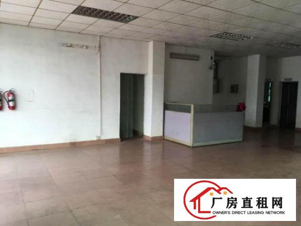  【~凤凰岗500平米办公楼出租，精装修，挨深圳和凤岗~】