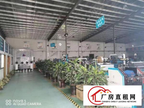  快递物流仓库！塘厦石潭埔1260平方米一楼厂房！靠主干道路