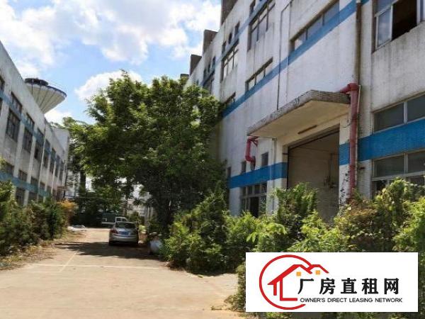  塘厦镇主干道边独院厂房楼上1875平方招租原房东空地大