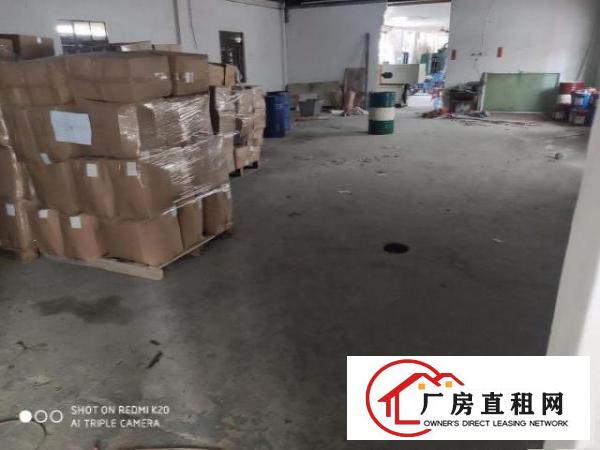  低价出租塘厦镇龙背岭一楼厂房