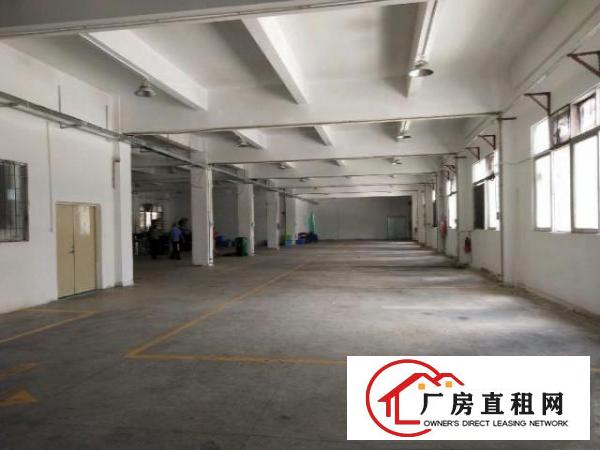  塘厦大坪高速出口2公里新出原房东独院7900平