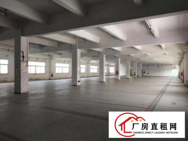  塘厦大坪高速出口2公里新出原房东独院7900平