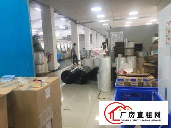  石鼓原房东楼上整层1000平实际面积出租，带豪华装修。