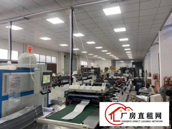  石鼓原房东楼上整层1000平实际面积出租，带豪华装修。
