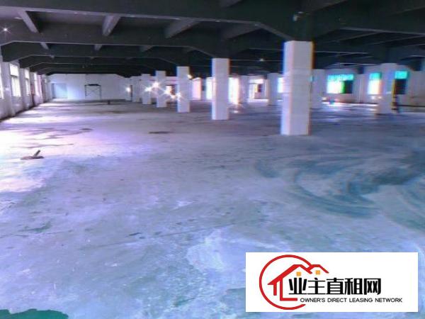  出租塘厦镇老区厂房，可分租