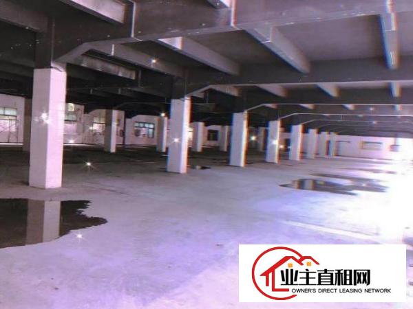 出租塘厦镇老区厂房，可分租