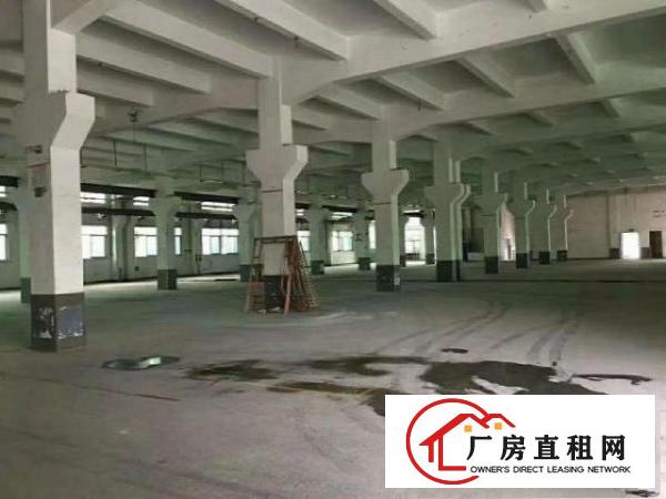  塘厦高速附近，单一层独院厂房：6000平方米，可任意分租