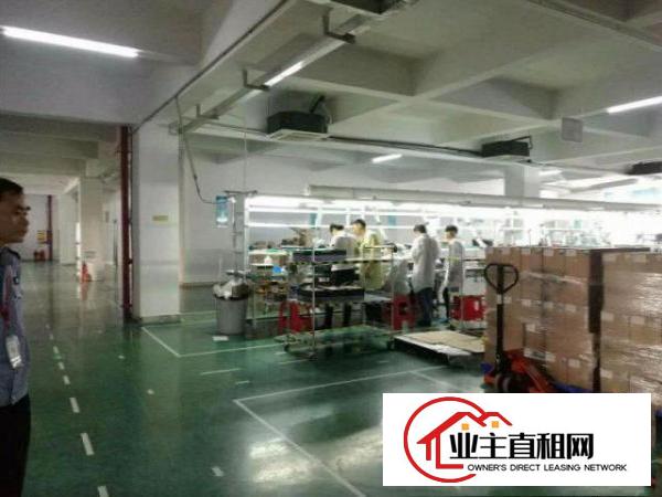  花园式。。塘厦临深工业园4200平方米。。独栋标准厂房招租