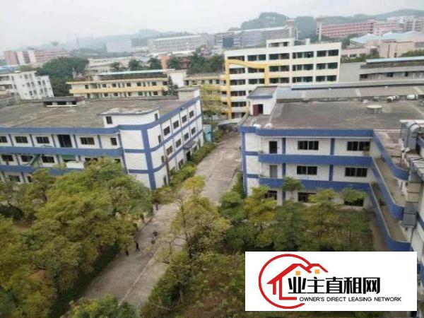  花园式。。塘厦临深工业园4200平方米。。独栋标准厂房招租