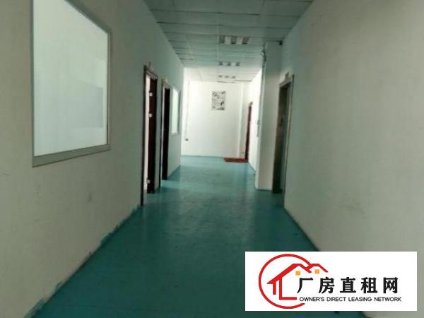  东莞塘厦清湖头新出带精装修二楼1000平出租