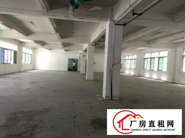  东莞塘厦清湖头新出带精装修二楼1000平出租