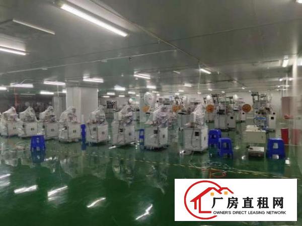  出租塘厦镇石鼓无尘车间带装修，水电齐全