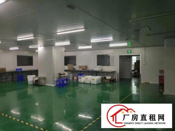  出租塘厦镇石鼓无尘车间带装修，水电齐全