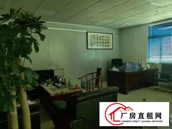  出租塘厦镇石鼓无尘车间带装修，水电齐全