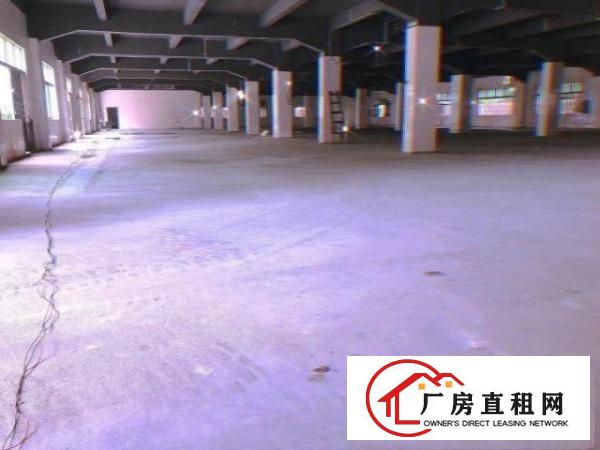  出租独院厂房9000平方米，空地超大可分租
